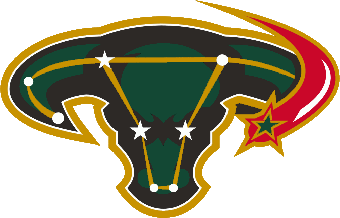 Dallas Stars 2003-2006 Alternate Logo DIY iron on transfer (heat transfer)